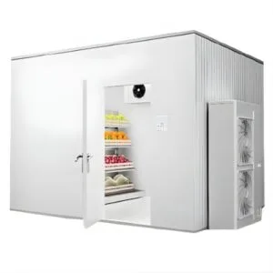Refrigerated or Cold Storage